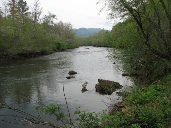 River Summer View with Mountains (600 x 450)